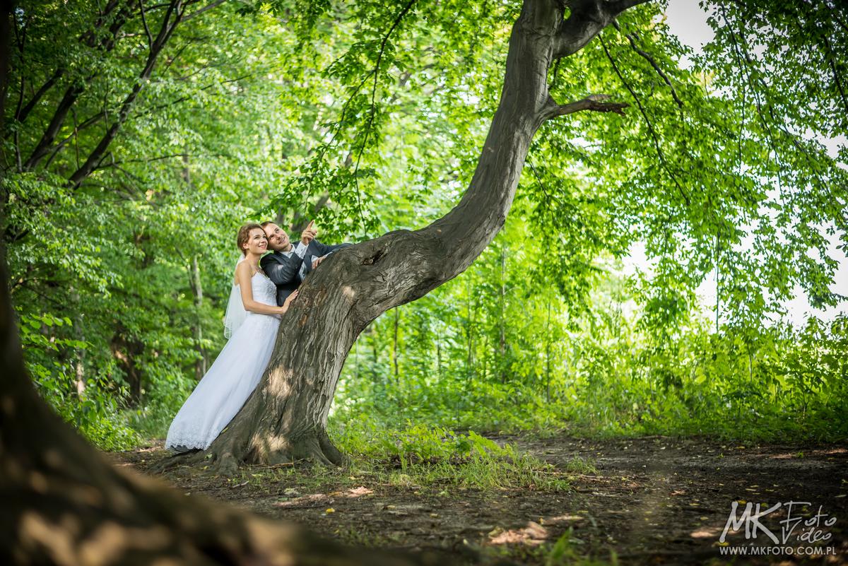 Fotografia ślubna - plener