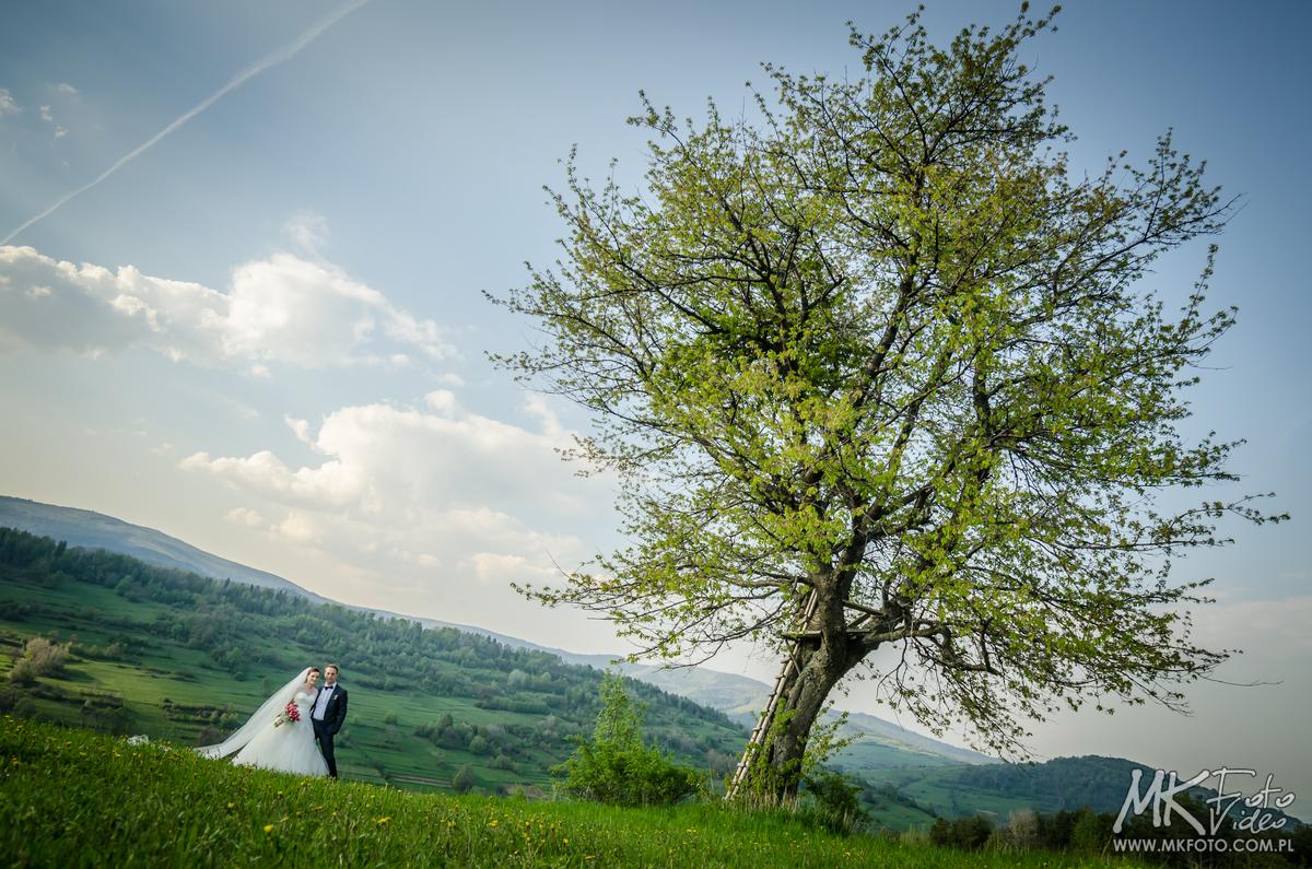 Fotografia ślubna - plener