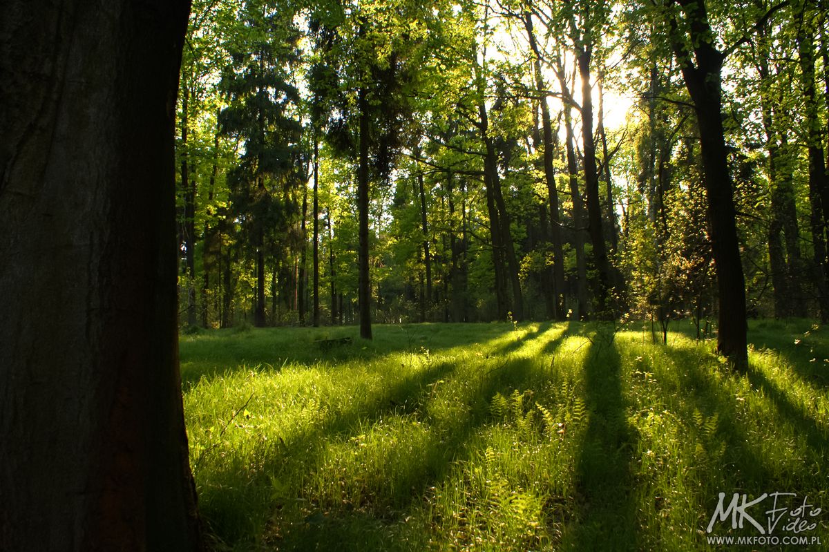 Fotograf Bielsko