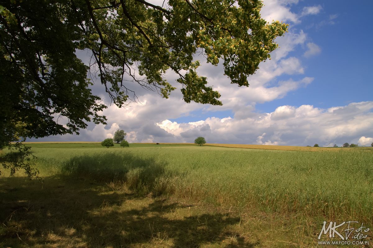 Fotograf Bielsko