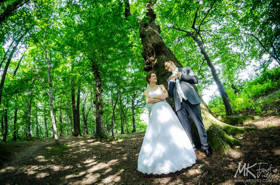 Fotografia ślubna Pszczyna