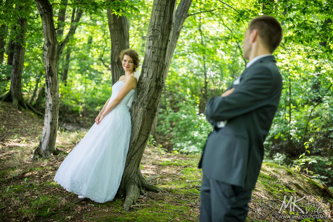 Fotografia ślubna Pszczyna