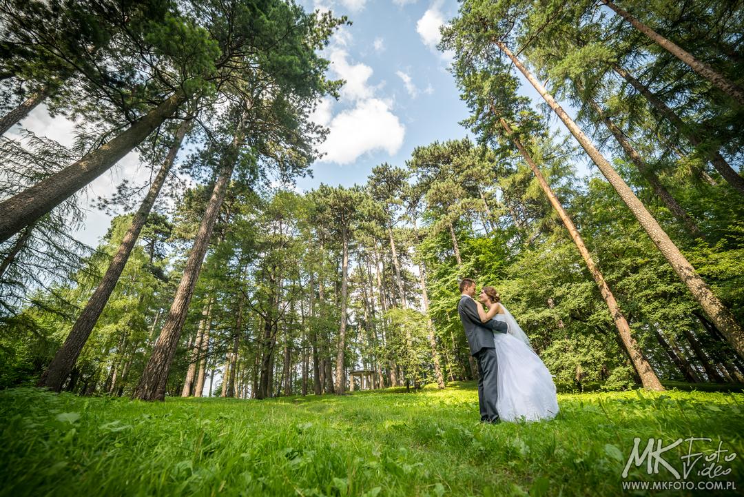 Fotografia ślubna Pszczyna